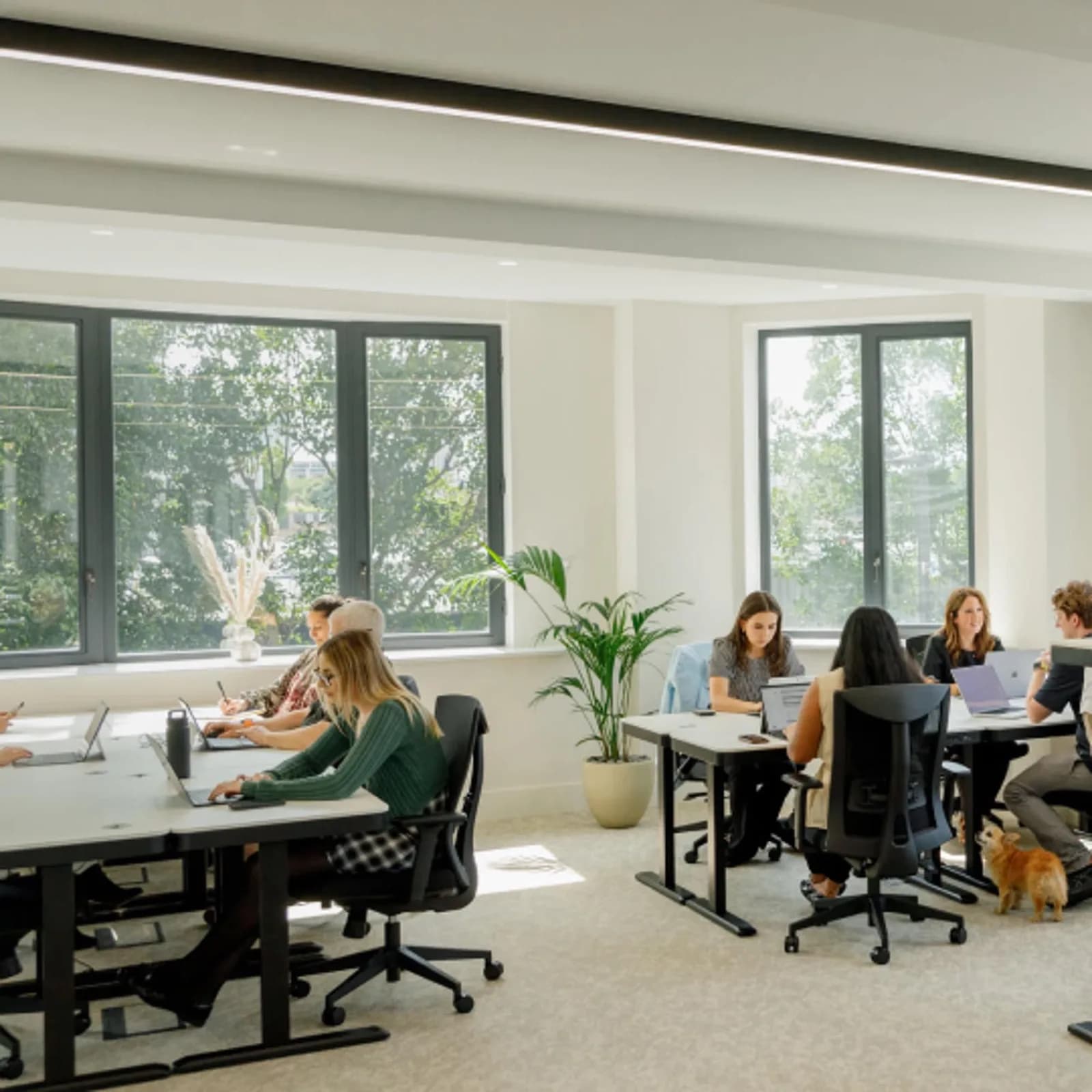 Private office (price per desk)