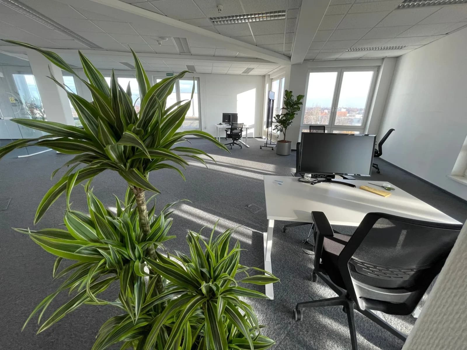 Private office (price per desk)
