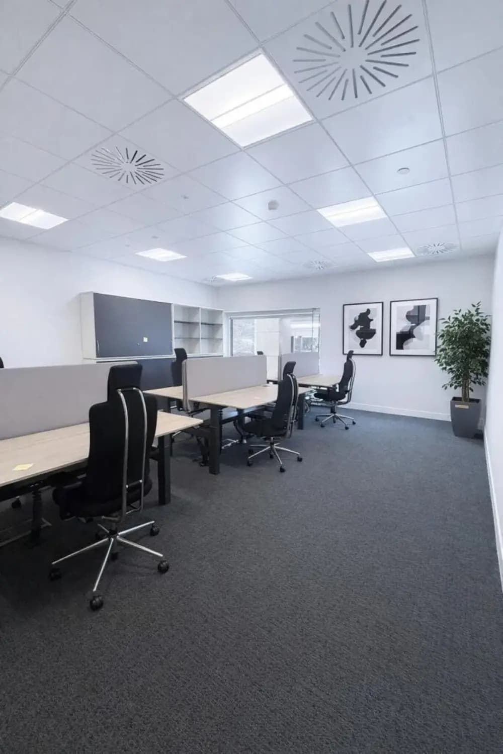 Open Space dedicated desk