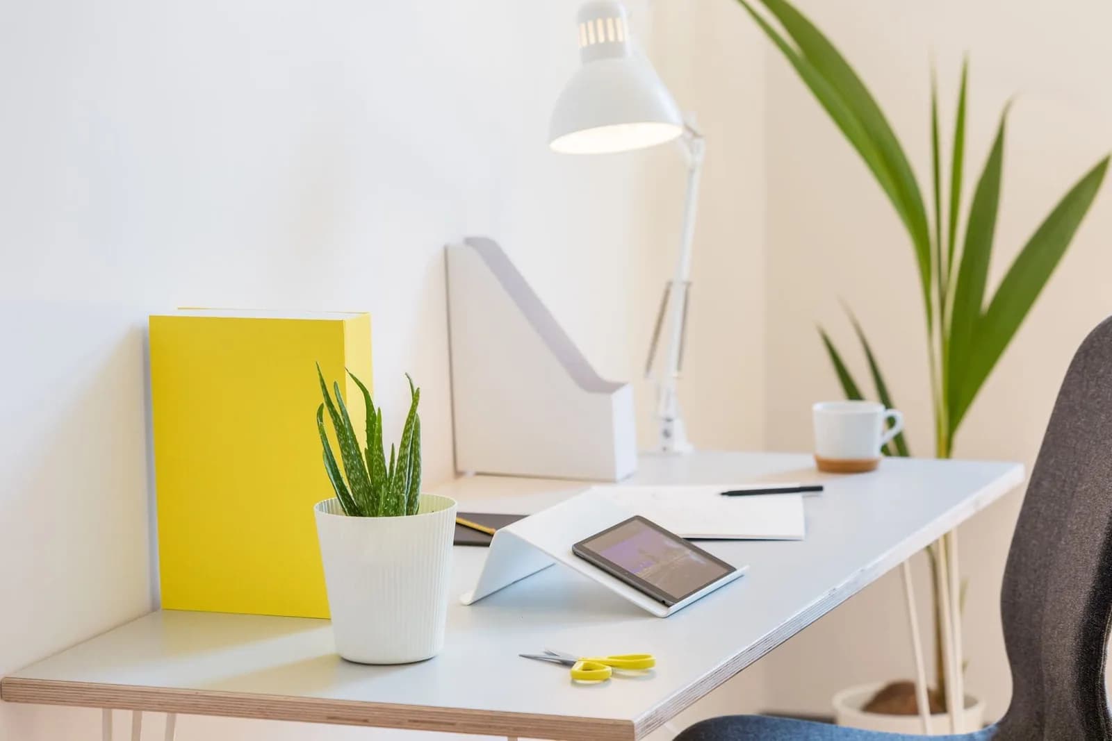 Private office (price per desk)