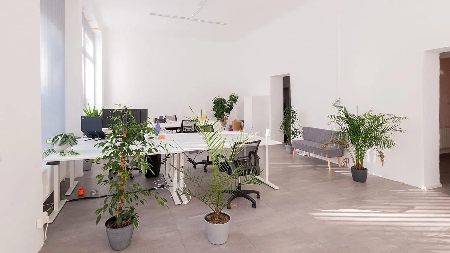 Private office (price per desk)